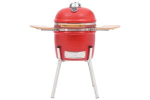 Paras savustin/grilli